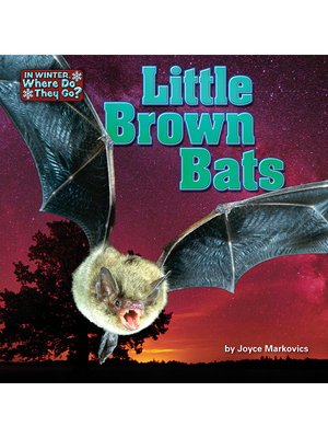 cover image of Little Brown Bats